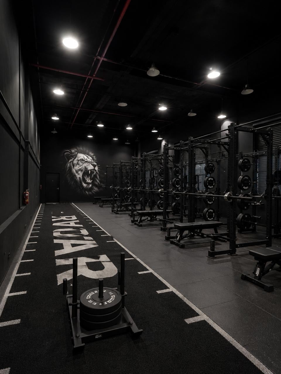 ROAR gym training floor