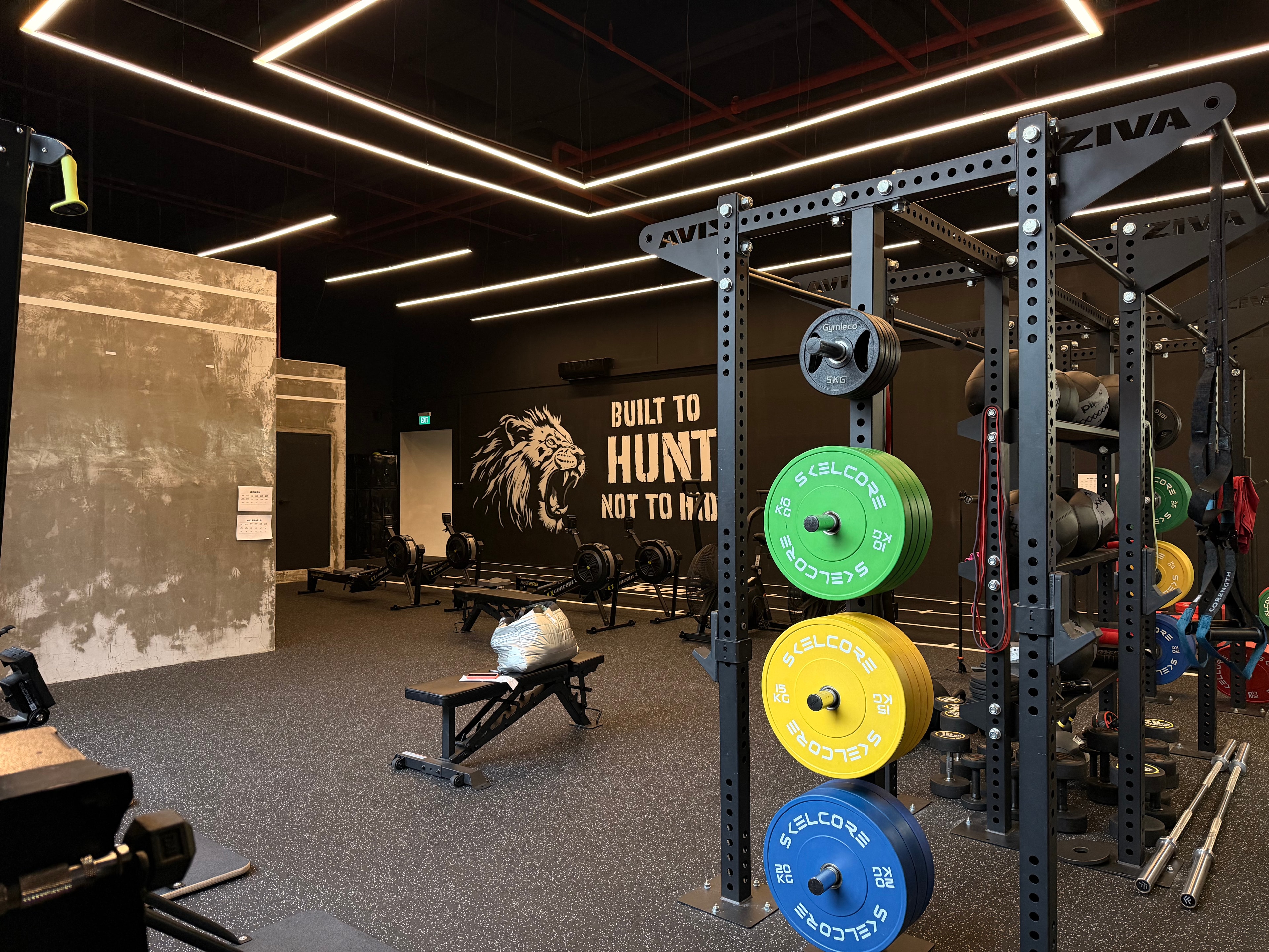 ROAR Gym weight plates